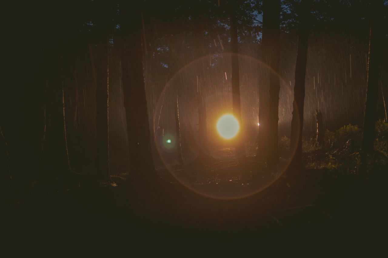 In a dark forest, tree silhouettes stand out sharply as bright car lights cut through, also revealing heavy rainfall.