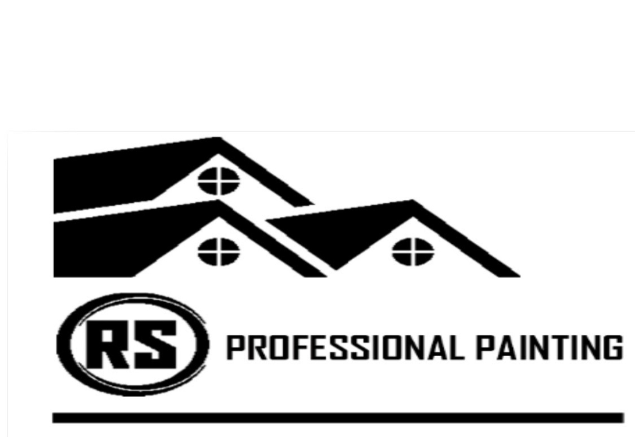 Professional Painting Logo