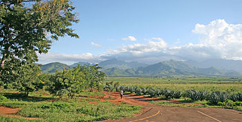 Sisal-plantejo apud Morogoro en Tanzanio