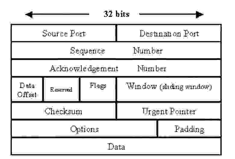 Рис 2. Структура TCP-сегмента