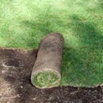 Install Sod