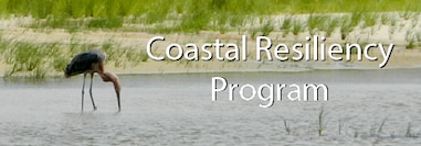 Coastal Resiliency Program