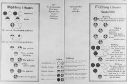 Nazi racial charts. Germany, between 1935 and 1945.