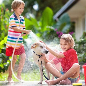 Kids using garden hose to wash the dog 