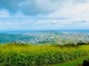 Ths city of Honolulu is in the distance. The picture was taken from an area above the city with green grass and lush green plant life growing in the foreground. The sky is partly cloudy.