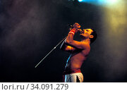 FREDDY MERCURY , Live at Wembley, London, UK, 1986,. (2009 год). Редакционное фото, фотограф Julio Etchart / age Fotostock / Фотобанк Лори