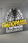 Международная пилорама