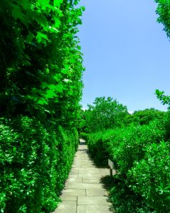 Cleveland Botanical Gardens walkway
