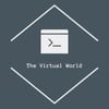 The Virtual World