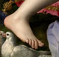 Le pied de Cupidon dans Allégorie du triomphe de Vénus (Bronzino).