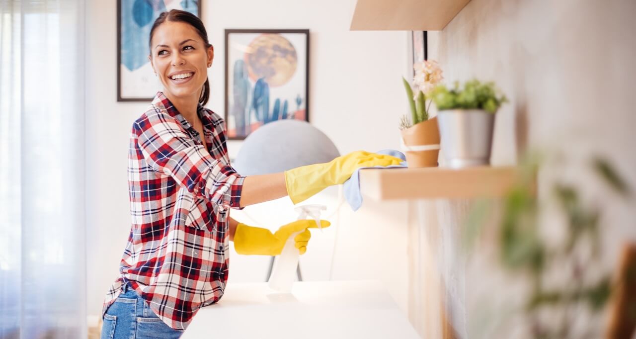 professional cleaner at home
