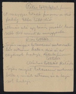 Ilona Kellner and her family lived in Pelsöc, which became part of Hungary before World War II. Following the German occupation of Hungary, Ilona, her sister Vera, and her parents Karoly and Jolan were forced into a ghetto in another area of the town. In mid-June, the family was deported to the Auschwitz camp in German-occupied Poland. Ilona's parents were killed in the gas chambers at Birkenau.
In early August, Ilona and her sister were deported to Hessisch Lichtenau, a subcamp of the Buchenwald concentration camp. They were part of a transport of 1,000 Hungarian women taken to Germany to fill a labor shortage. At the labor camp, Ilona worked as a translator and messenger and tidied the factory there. She smuggled blank pages out of wastebaskets and used them to record hundreds of recipes dictated by her fellow women prisoners, along with some of her own recipes.
This page shows Ilona Kellner's recipe for various strudel fillings, written on the back of a blank munitions factory form.