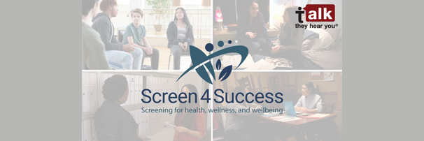 Screen4Success Gray Banner