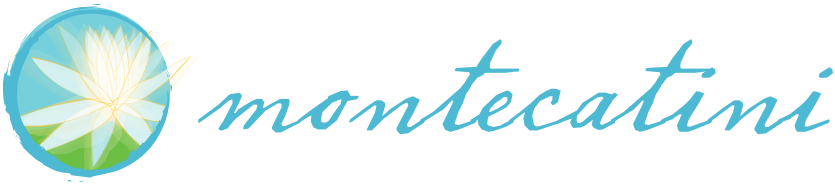 Montecatini logo