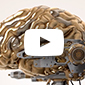 Build your brain thumbnail