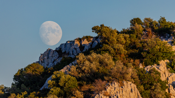 Undeveloped natural island with lots of rocky features and green trees on it in the evening, full moon with clear sky at the horizon behind the island.