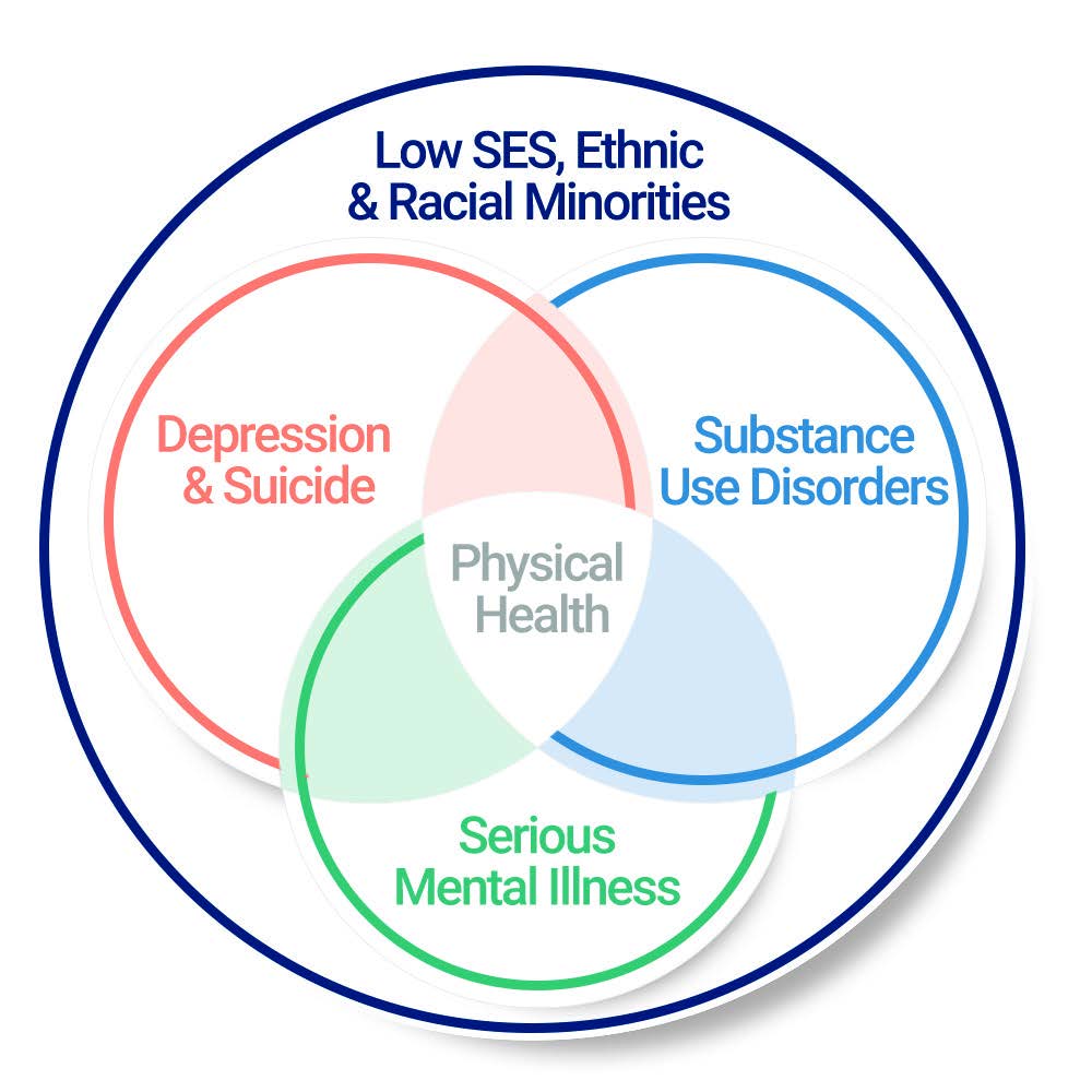 Low SES, Ethnic and racial minorites. Depression and suicide, substance use disorders, serious mental illness, and physical health.