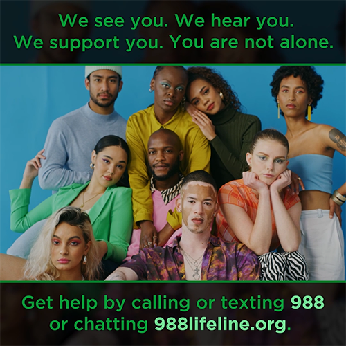 Animation.
A moving image of a group of LGBTQIA+ youth showing friendly affection for one another. The image zooms out to show the entire group.
The text above and below them reads: We see you. We hear you. We support you. You are not alone. 
