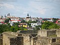 The town of Suceava (German and Polish: Suczawa), the largest in southern Bukovina