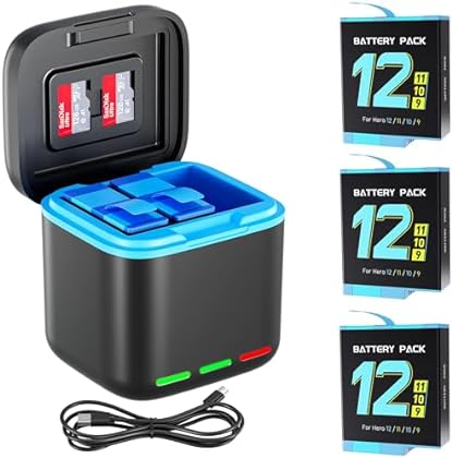 Smart Charger 3 Batteries