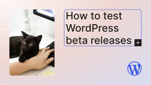 How to test WordPress beta releases
