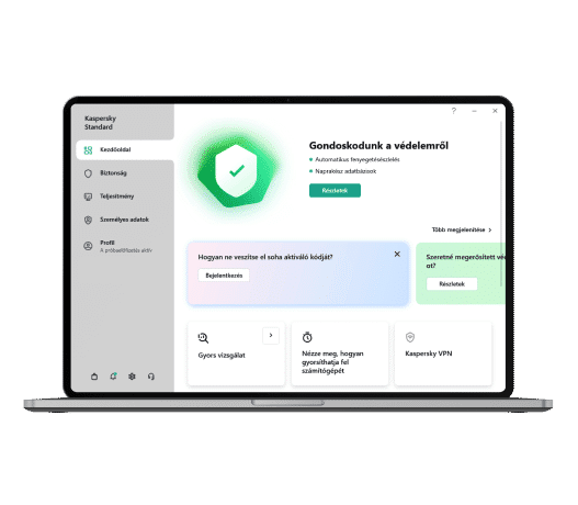 A Kaspersky Standard felülete