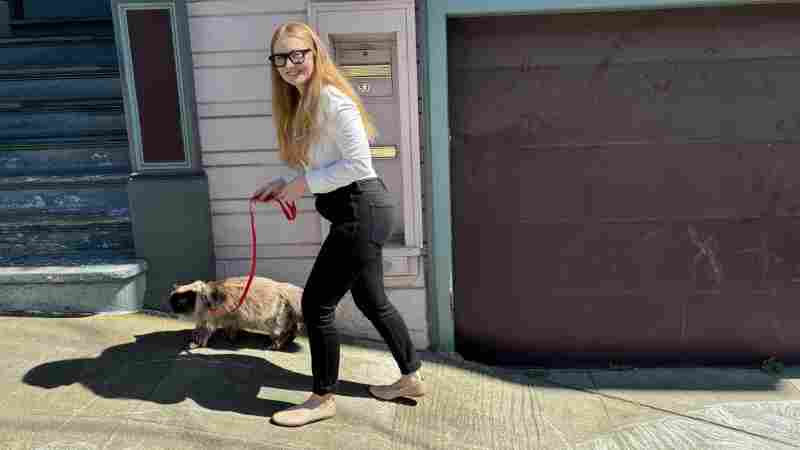 Jennifer Privett takes her Himalayan cat Jean Claude out for a stroll in San Francisco on June 28, 2024.