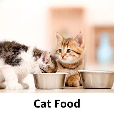 Cat Food