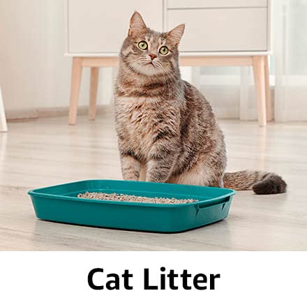 Cat Litter