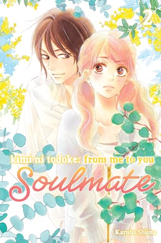 Kimi ni Todoke: From Me to You: Soulmate, Vol. 2 Image