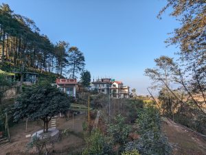 Houses on a terraced mountainside in Nagarkot, Nepal, surrounded by plants and trees. There's a blue sky overhead.