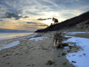 A beach in Cape Cod with paw prints and foot prints, a large piece of driftwood, and some patches of snow with the sun setting behind the hill.