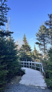 Beautiful hiking way in St. John's, NL, Canada.