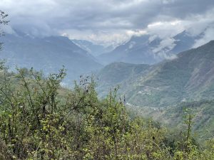 Monsoon season clouds covering mountains in the distance. Some green bushes are visible in the foreground.