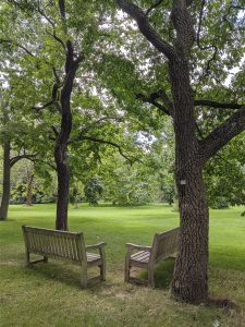 Two empty, wooden benches forming an angle under the trees of the Kew Gardens in London, UK
