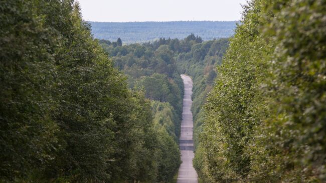 Дорога в Карелии