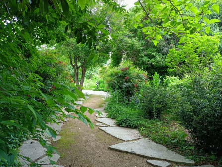 Jardins ENS Lyon, mai 2024