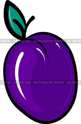 Flat plum, illustration, vector on white background.