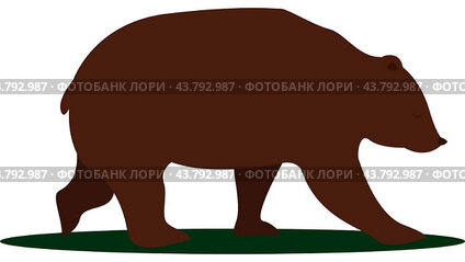 Big bear, illustration, vector on white background.