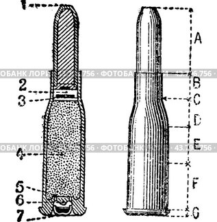 Cut, Profile, Repeating firearm, vintage engraving.