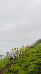 A group of people wearing colorful rain ponchos are hiking up a grassy hill on a cloudy day.