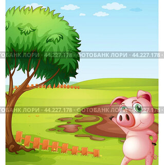 A pig introducing the pig farm