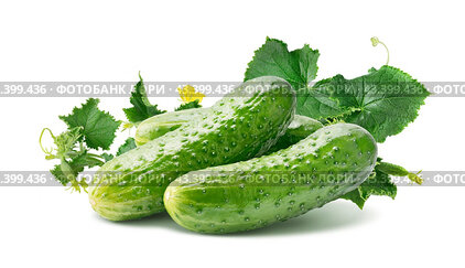 Cucumber group with leaves isolated on white